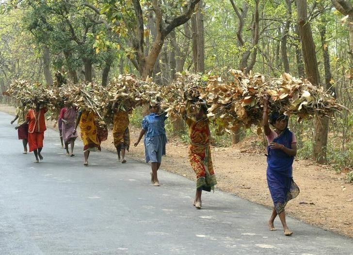 Tribal women carry bundles of twigs and leaves near Shantiniketan, 150 km (95 miles) northwest of Calcutta on March 18, 2004. REUTERS/Jayanta Shaw/Files